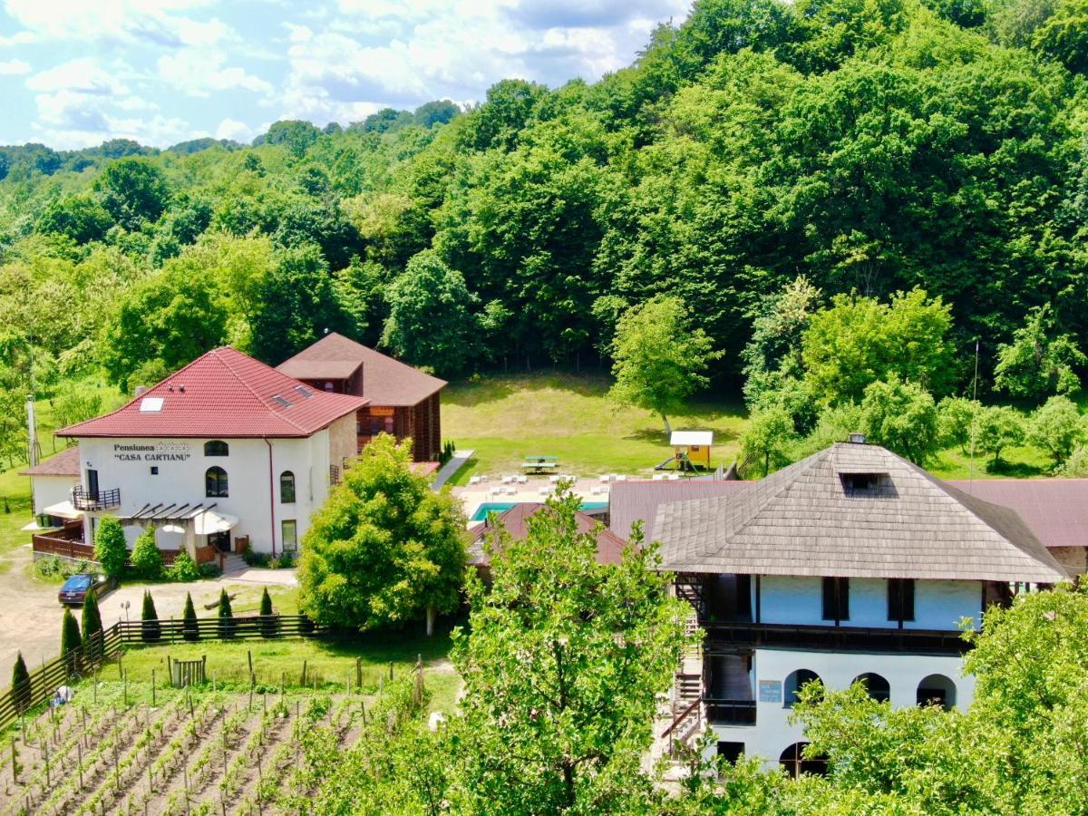 Casa Cartianu Hotel Targu Jiu Bagian luar foto