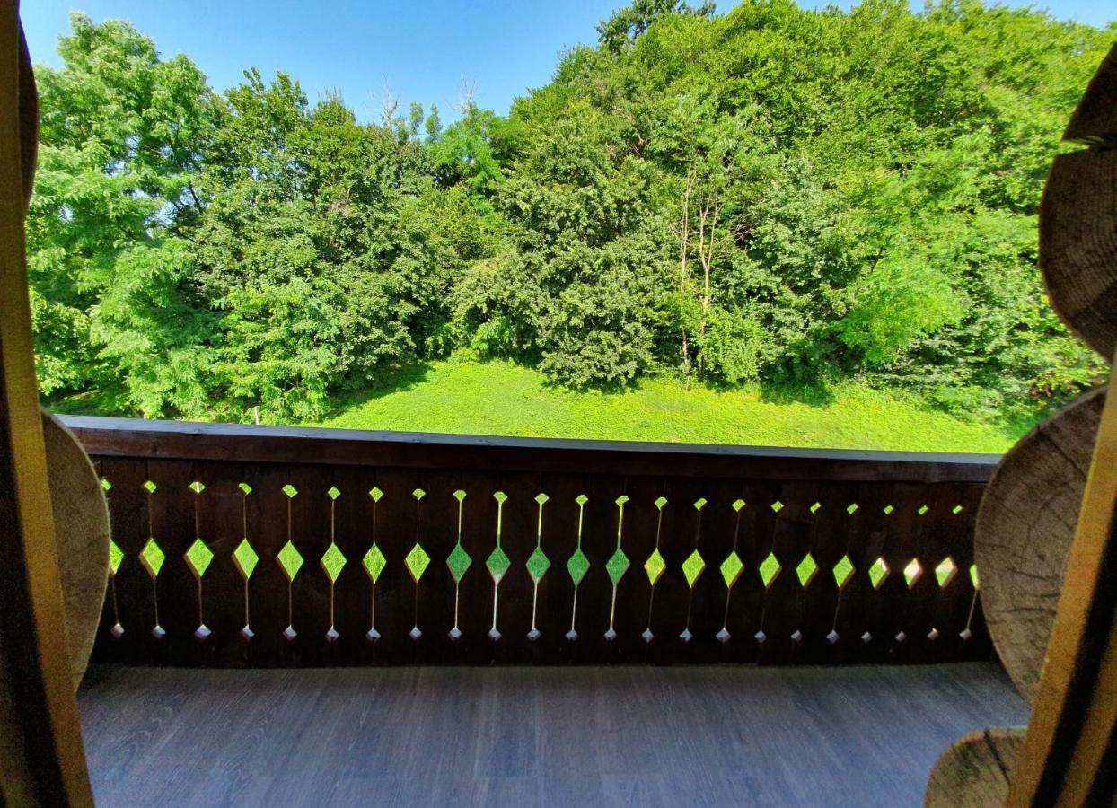 Casa Cartianu Hotel Targu Jiu Bagian luar foto